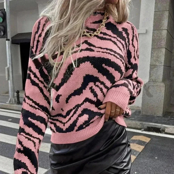 Multicolor Casual Women's Zebra Pattern Batwing Sleeve Pullover Sweater - Picture 5 of 7